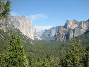 Open spaces tend to open minds