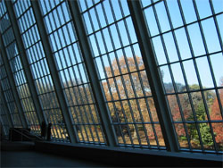 museum of natural history