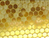 Honeycomb