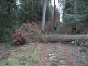 stormdec06 058.JPG