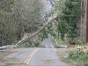 stormdec06 119.JPG